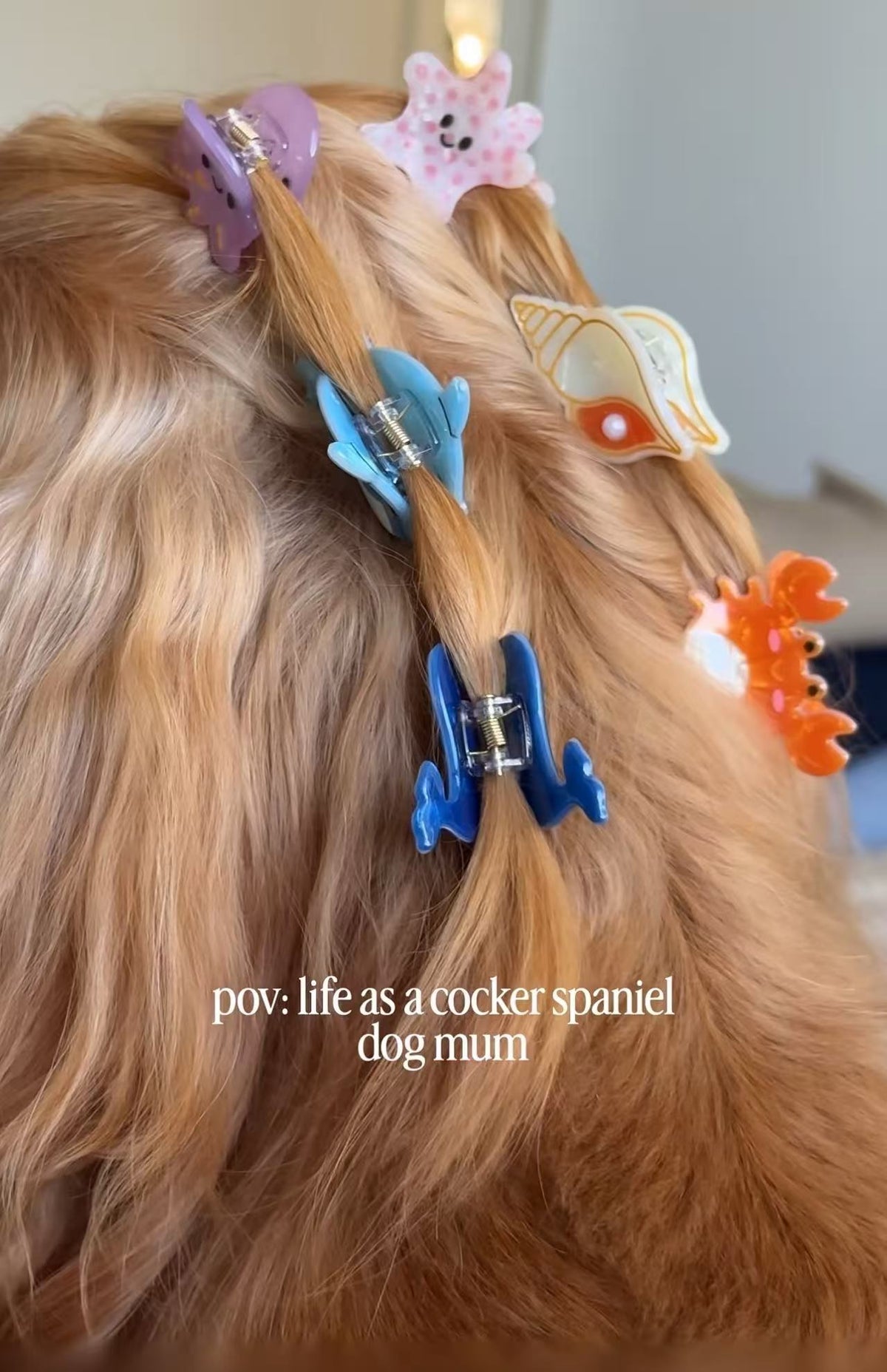 PAWSOME PETS NEW YORK Hand-painted OCEAN COLLECTION SMALL Hair Clip | Eco-Friendly