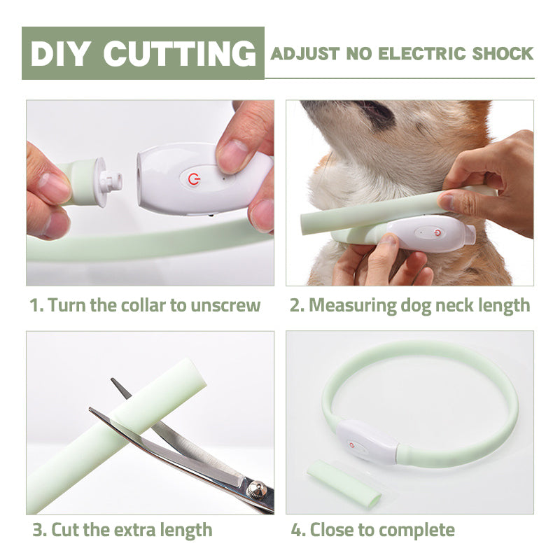 USB Rechargeable LED Dog Collar – Night Safety Light