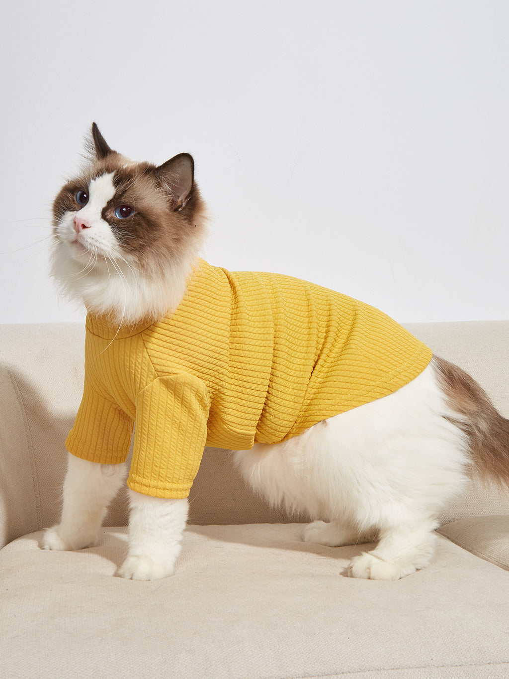 Classic Pet T-Shirt – Soft Everyday Shirt for Dogs & Cats