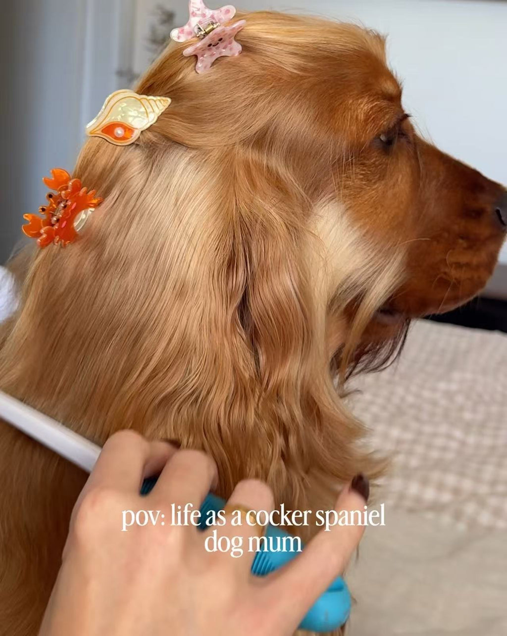 PAWSOME PETS NEW YORK Hand-painted OCEAN COLLECTION SMALL Hair Clip | Eco-Friendly