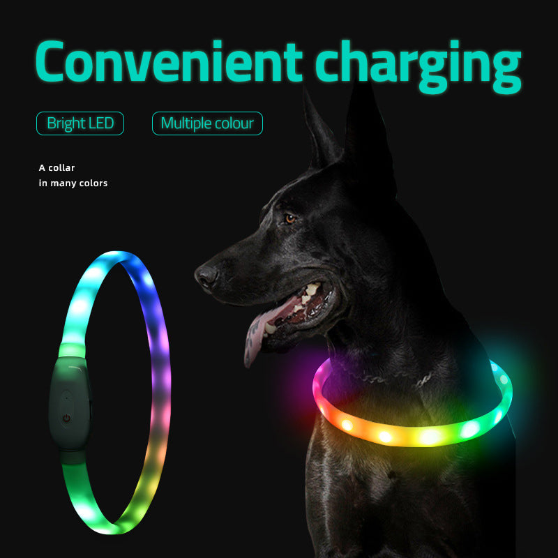 USB Rechargeable LED Dog Collar – Night Safety Light