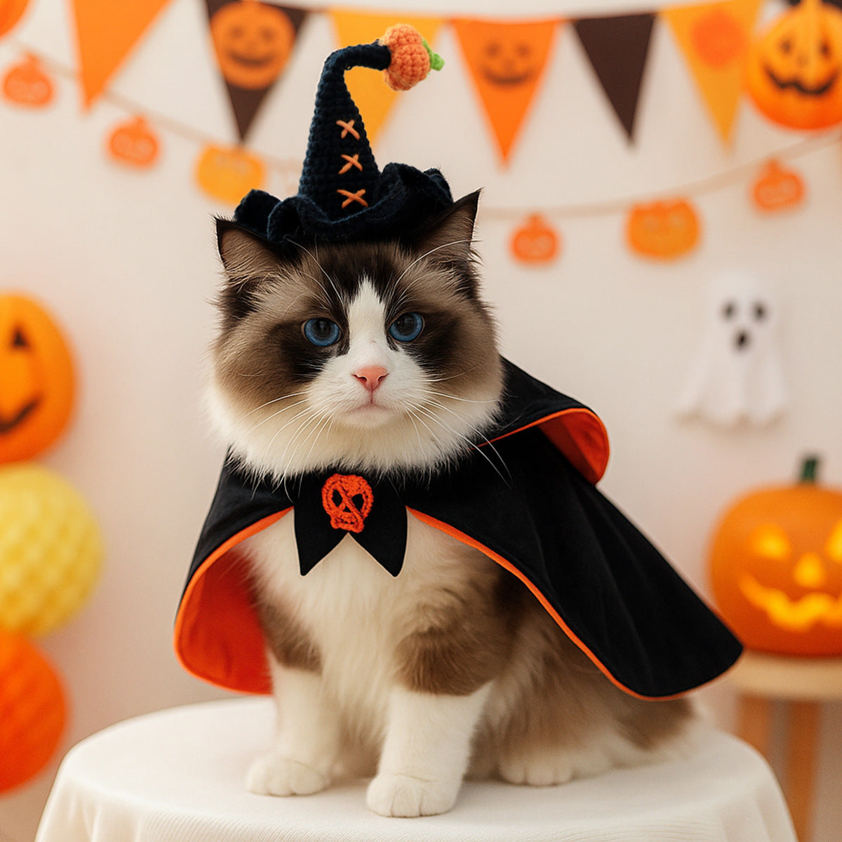 Halloween Knit Witch Hat for Dogs & Cats