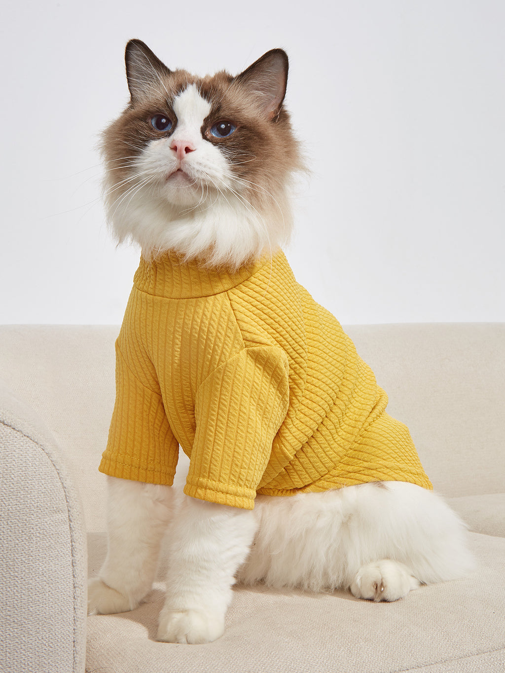 Classic Pet T-Shirt – Soft Everyday Shirt for Dogs & Cats