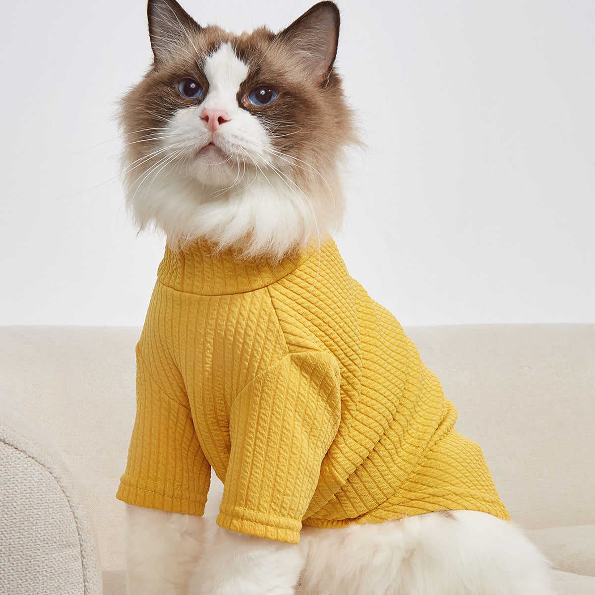 Classic Pet T-Shirt – Soft Everyday Shirt for Dogs & Cats