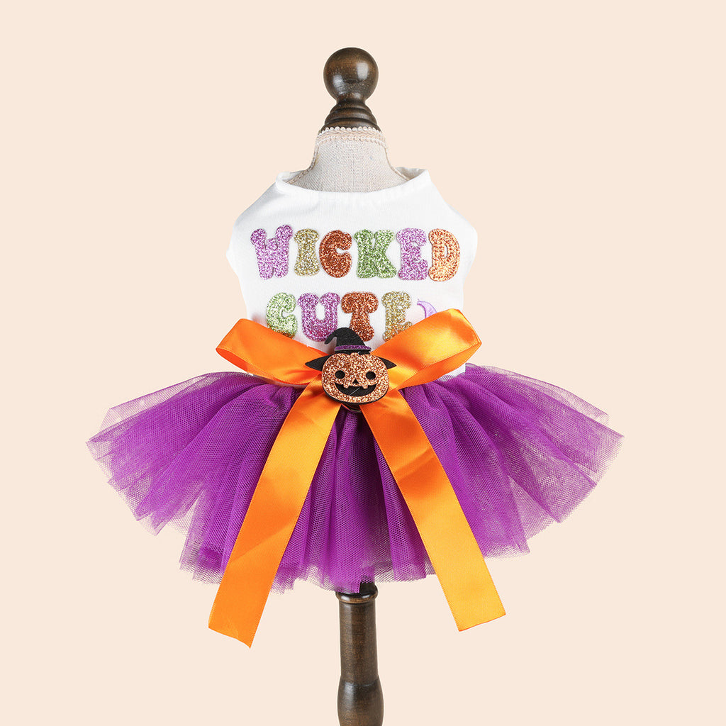 Purple Pumpkin Witch Dress – Halloween Dog Costume