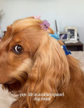 PAWSOME PETS NEW YORK Hand-painted OCEAN COLLECTION SMALL Hair Clip | Eco-Friendly