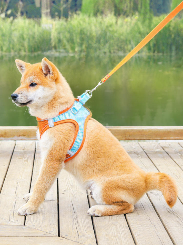 Reflective Pet Harness & Leash Set – Breathable Walking Vest