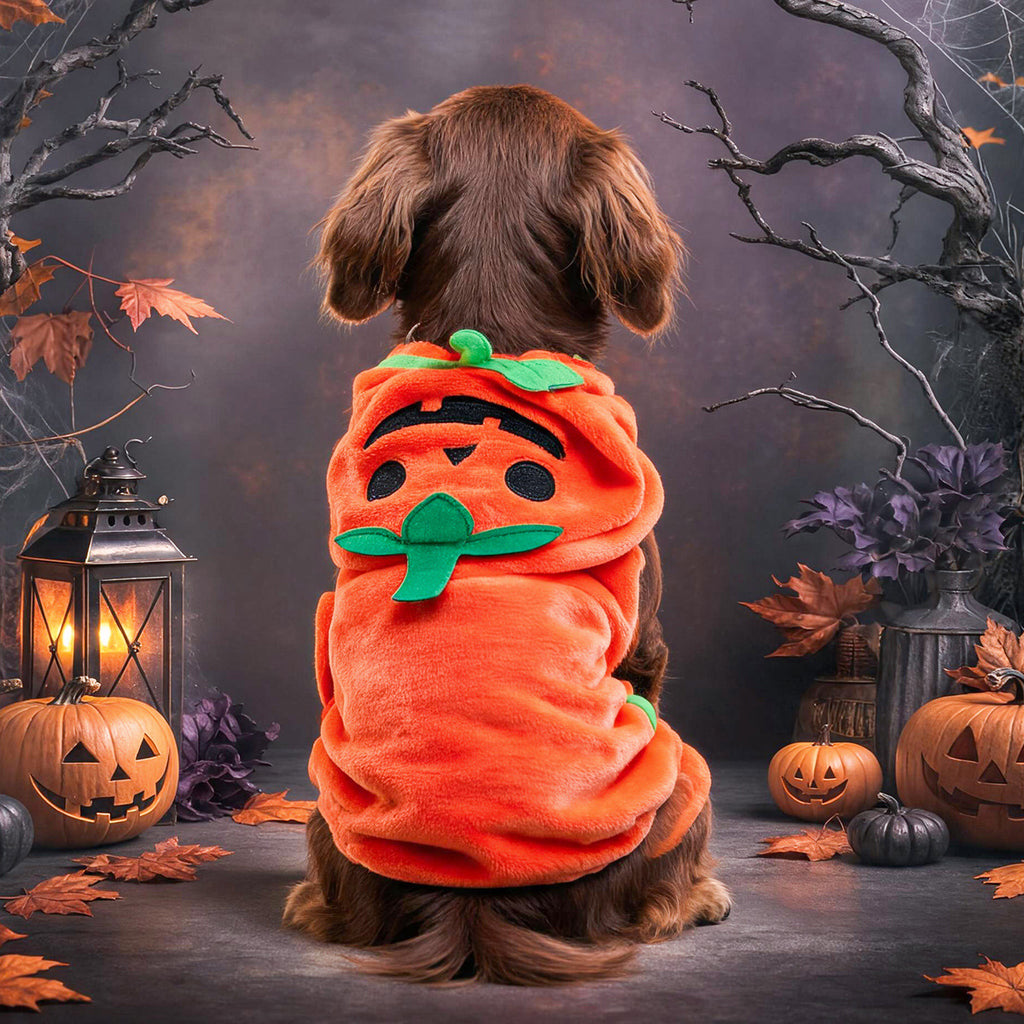 Halloween Pet Bath Robe – Ghost & Pumpkin Dog Towel