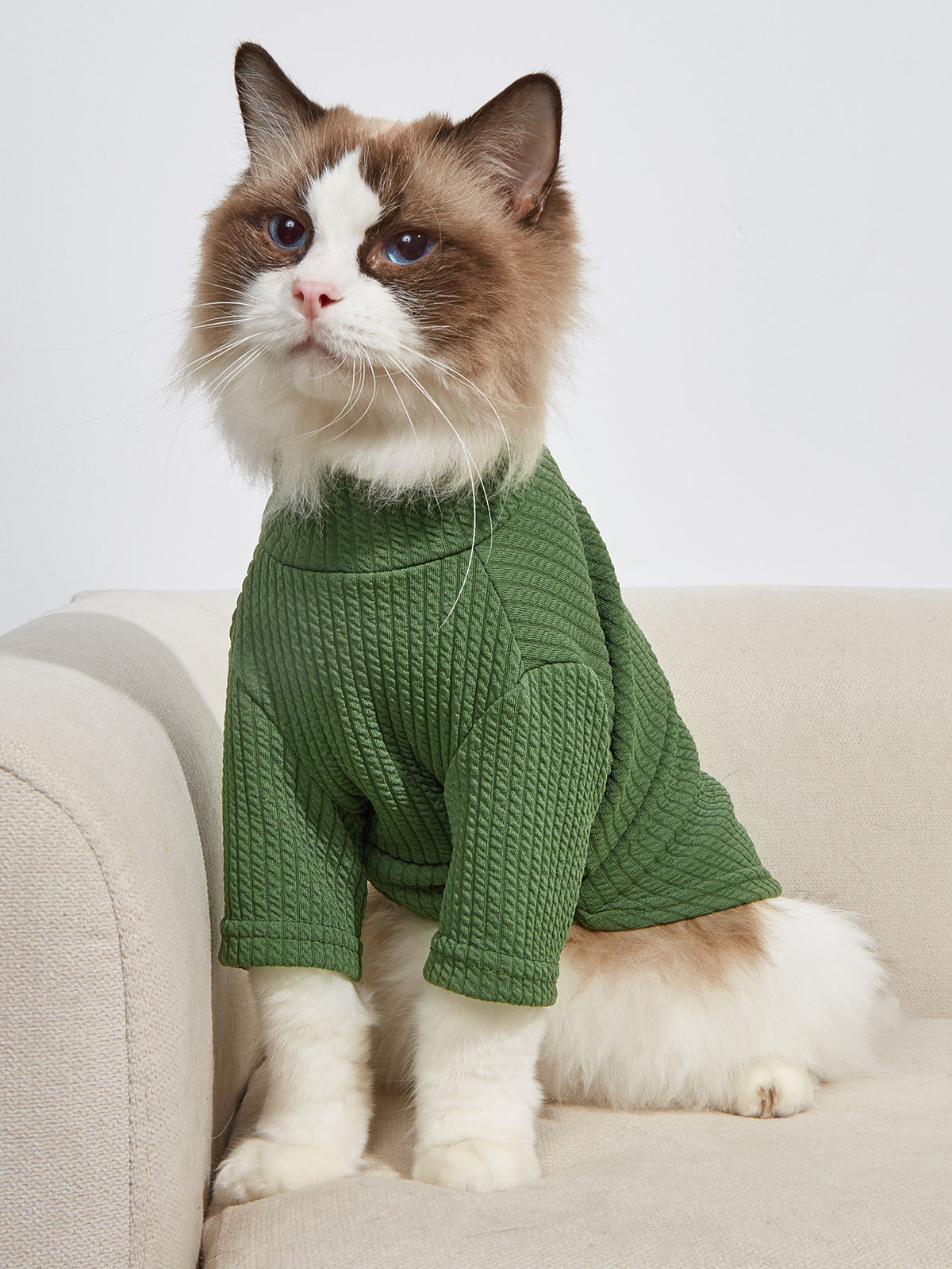 Classic Green Pet T-Shirt – Soft Shirt for Dogs & Cats