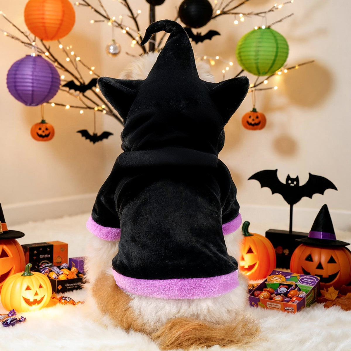 Halloween Witch Hoodie Costume for Small Dogs
