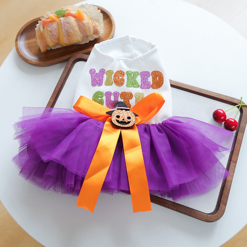 Purple Pumpkin Witch Dress – Halloween Dog Costume