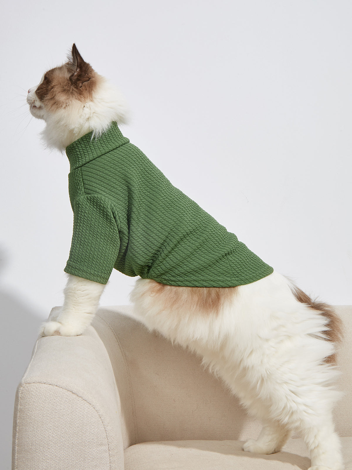Classic Green Pet T-Shirt – Soft Shirt for Dogs & Cats
