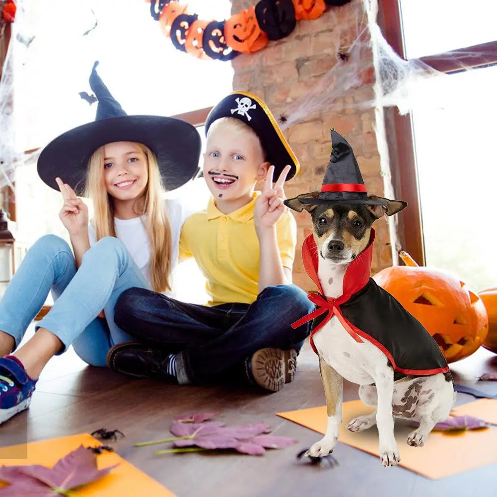 Halloween Cloak & Hat Set for Dogs & Cats