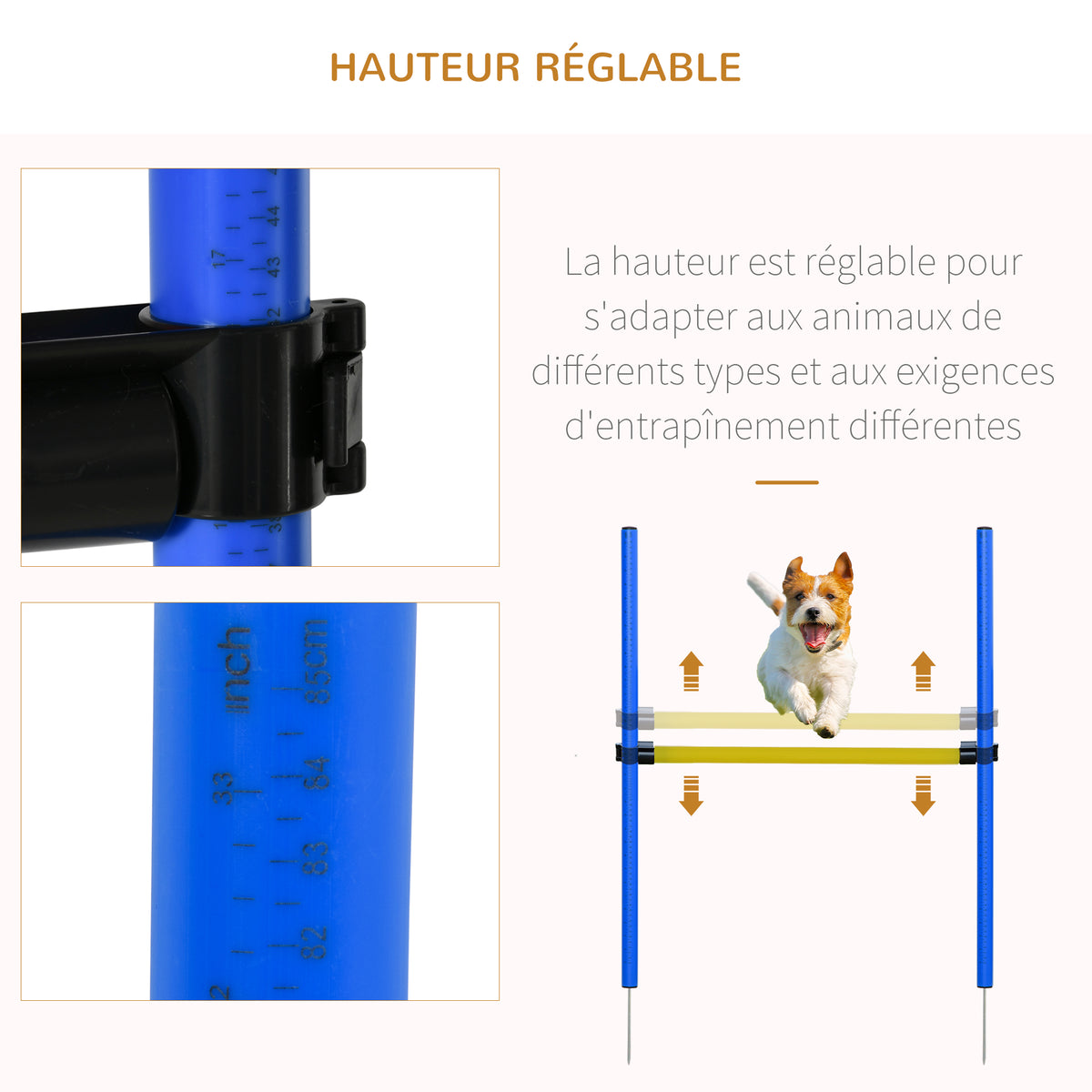 Dog Agility Training Set – Tunnel, Obstacles, Weave Poles & 2 Carry Bags – Blue/Yellow