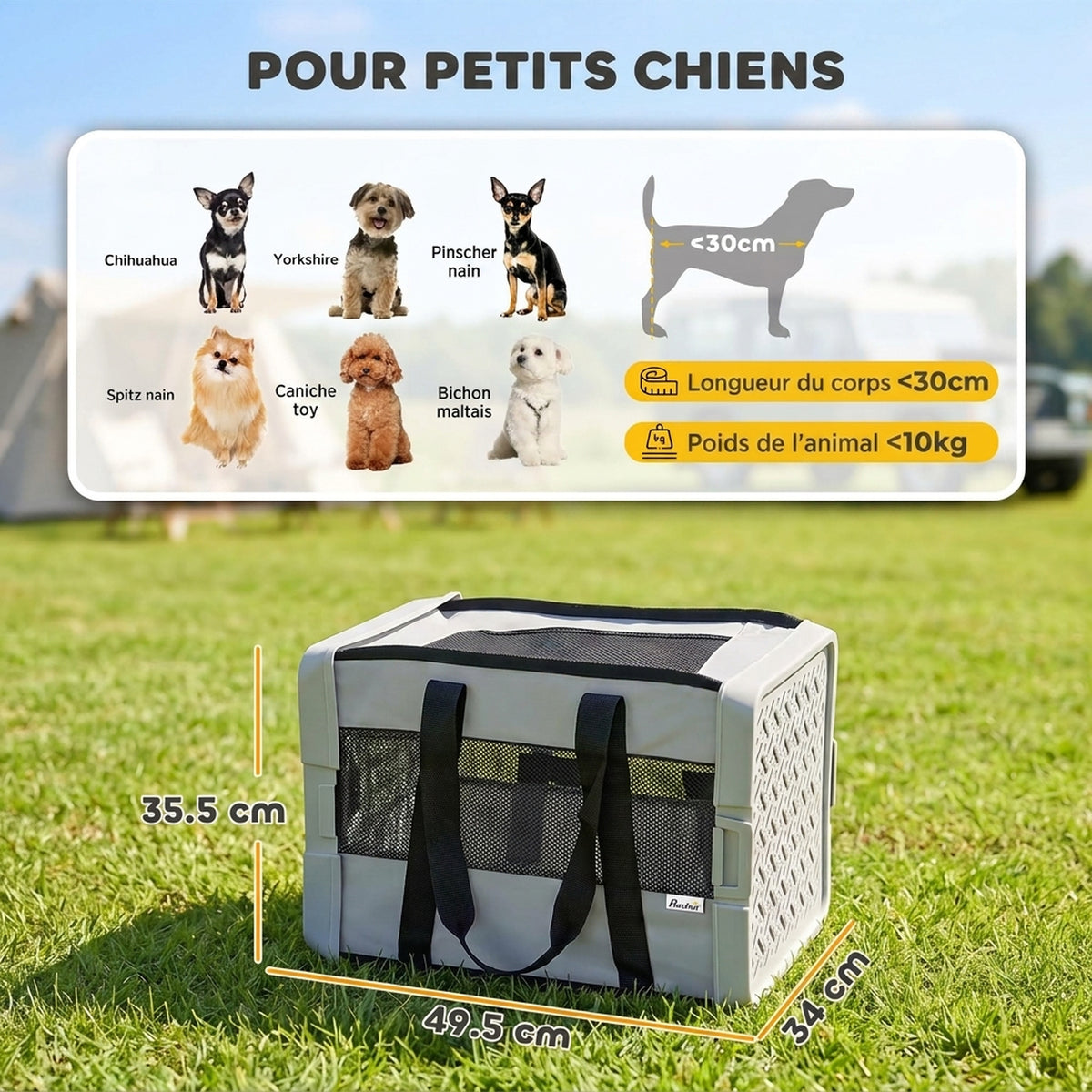 Foldable Pet Travel Carrier for Cats & Small Dogs – Up to 10 kg