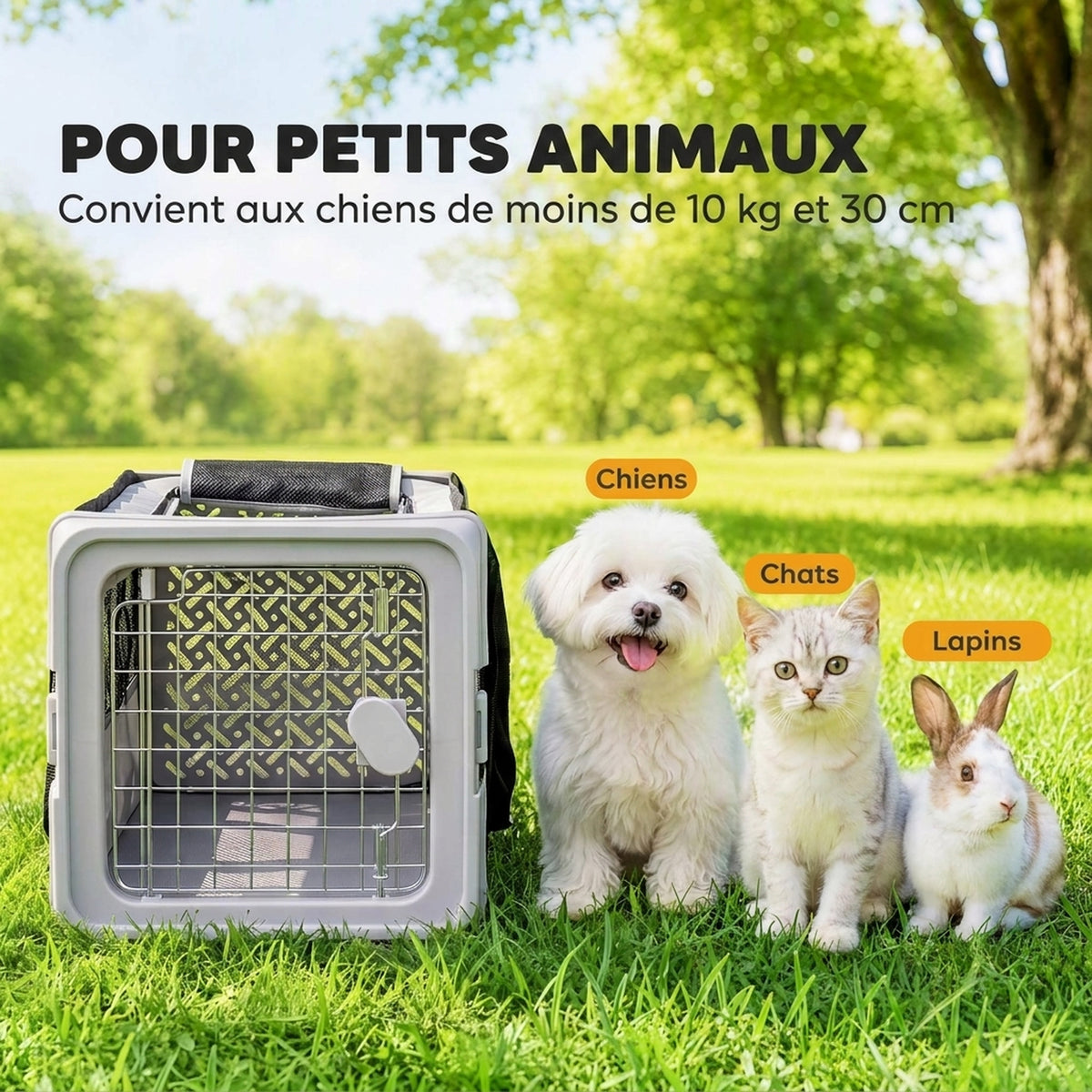 Foldable Pet Travel Carrier for Cats & Small Dogs – Up to 10 kg